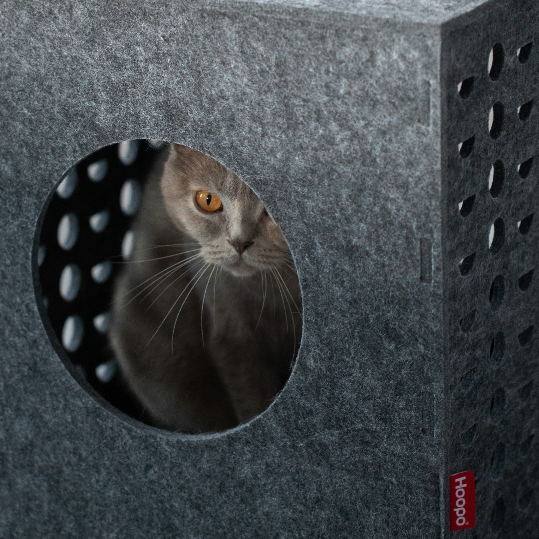 Cube - Jouets pour chats - Hoopo
