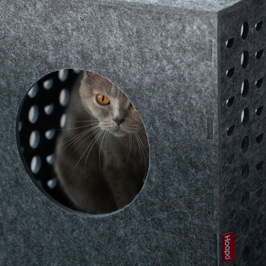 Cube Pour Chat - Hoopo