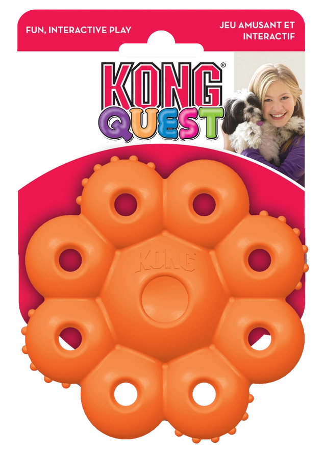 KONG Quest Étoile Pod - Hofman Animal Care