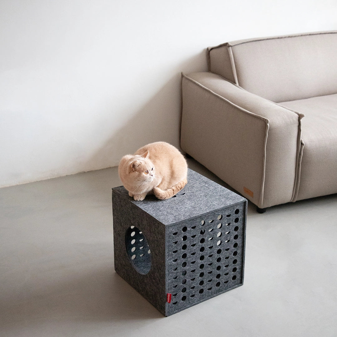 Cube - Jouets pour chats - Hoopo