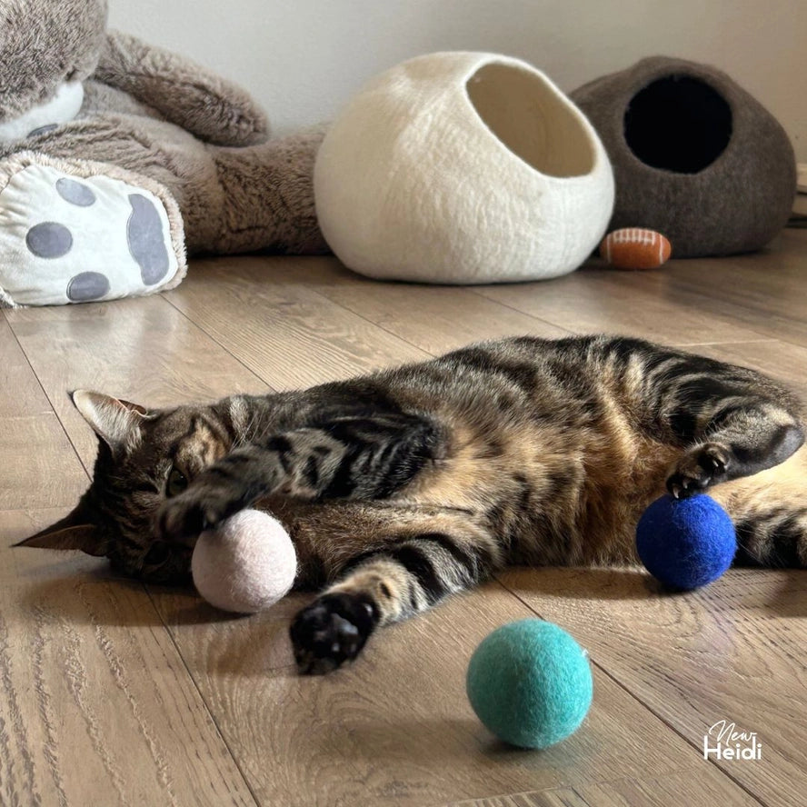 Set de 6 balles pour chat - New Heidi