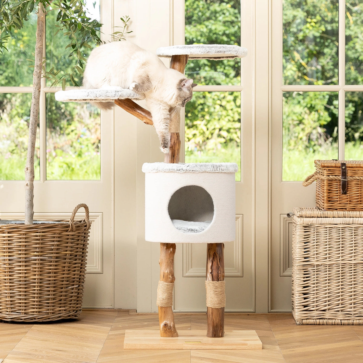 Arbre à chat robuste avec plateforme, griffoir en corde tressée et niche confortable, parfait pour les chats actifs.