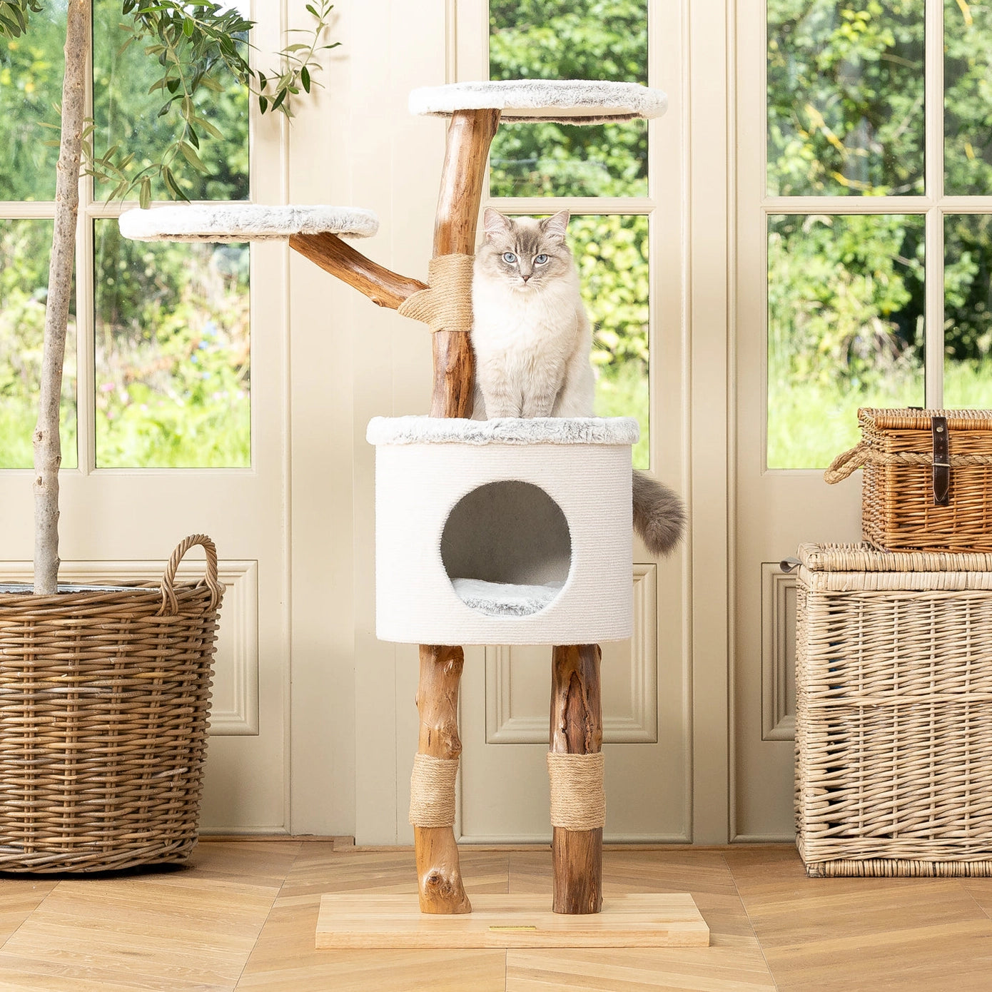 Arbre à chat robuste avec plateforme, griffoir en corde tressée et niche confortable, parfait pour les chats actifs.