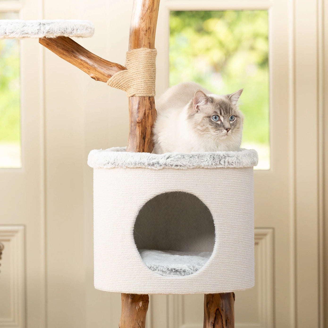 Arbre à chat robuste avec plateforme, griffoir en corde tressée et niche confortable, parfait pour les chats actifs.