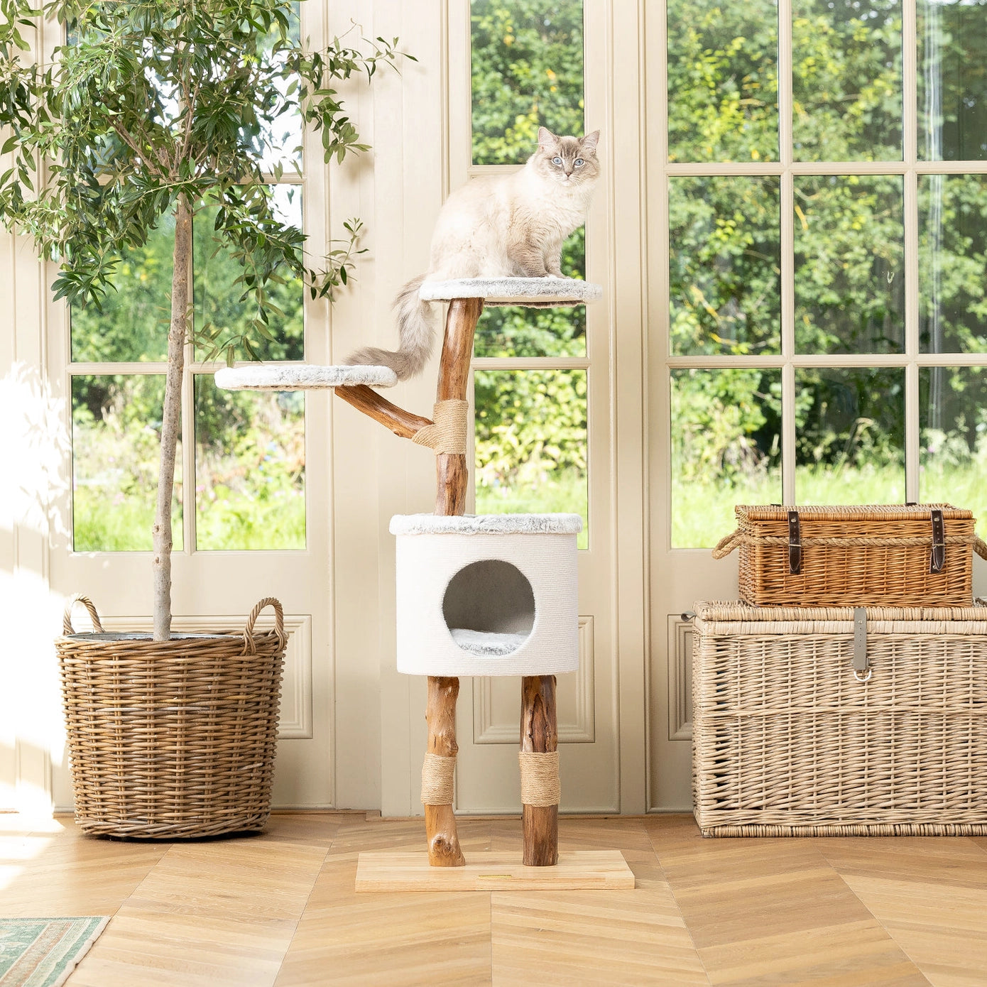 Arbre à chat robuste avec plateforme, griffoir en corde tressée et niche confortable, parfait pour les chats actifs.