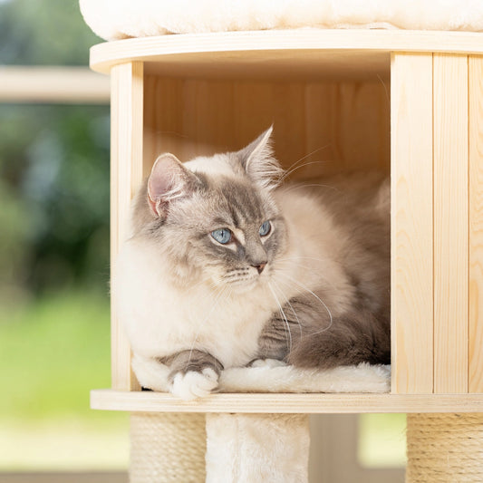 Chat allongé dans une cabane en bois clair avec coussin moelleux, espace de repos fermé intégré à un arbre à chat. Parfait pour la détente et la sécurité.