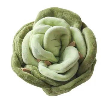 champignon à renifler pour chien comme jeu de stimulation