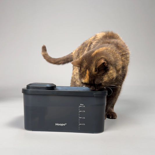 Un chat boit de l'eau à partir d'un distributeur d'eau automatique Hoopo noir et moderne, garantissant une hydratation constante.