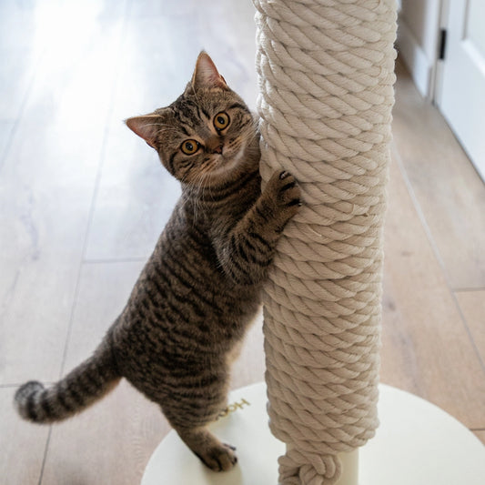 Griffoir moderne en corde tressée beige pour chat, design élégant et solide pour stimuler les griffes des chats actifs.