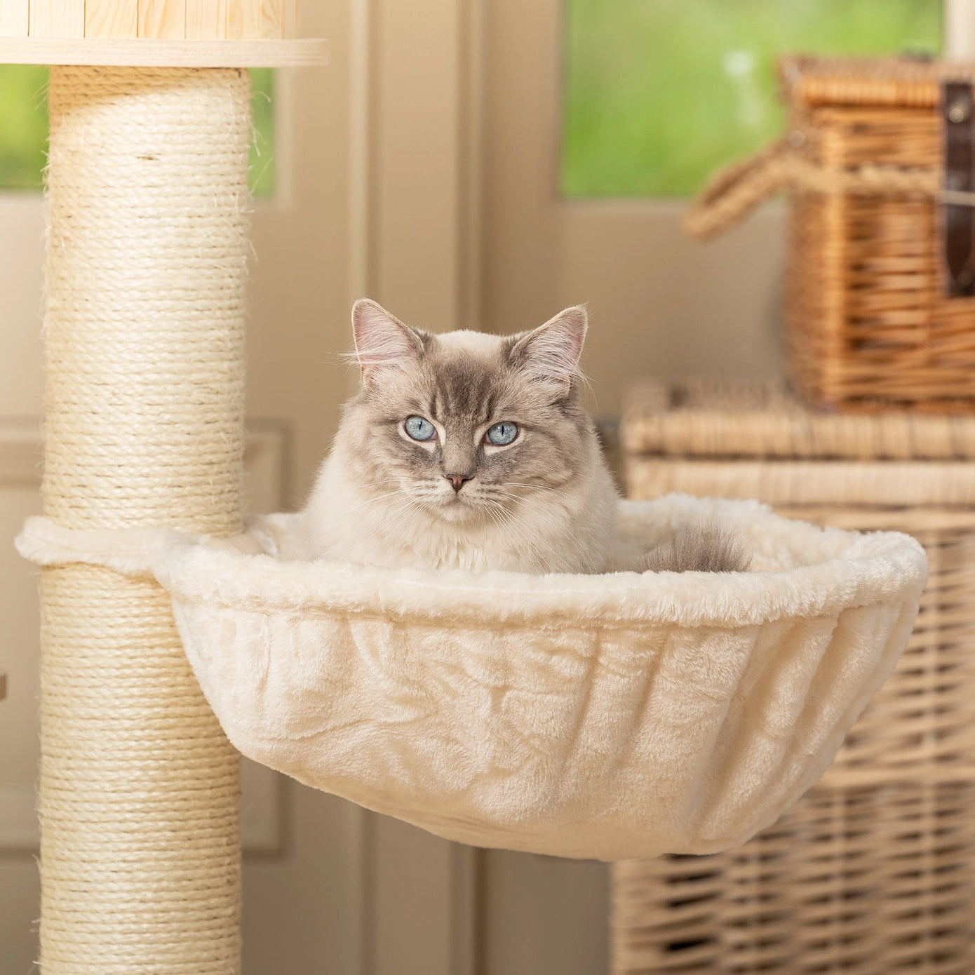Hamac en tissu moelleux blanc crème pour chat, suspendu à une tour grimpante en sisal, idéal pour la détente et le repos.