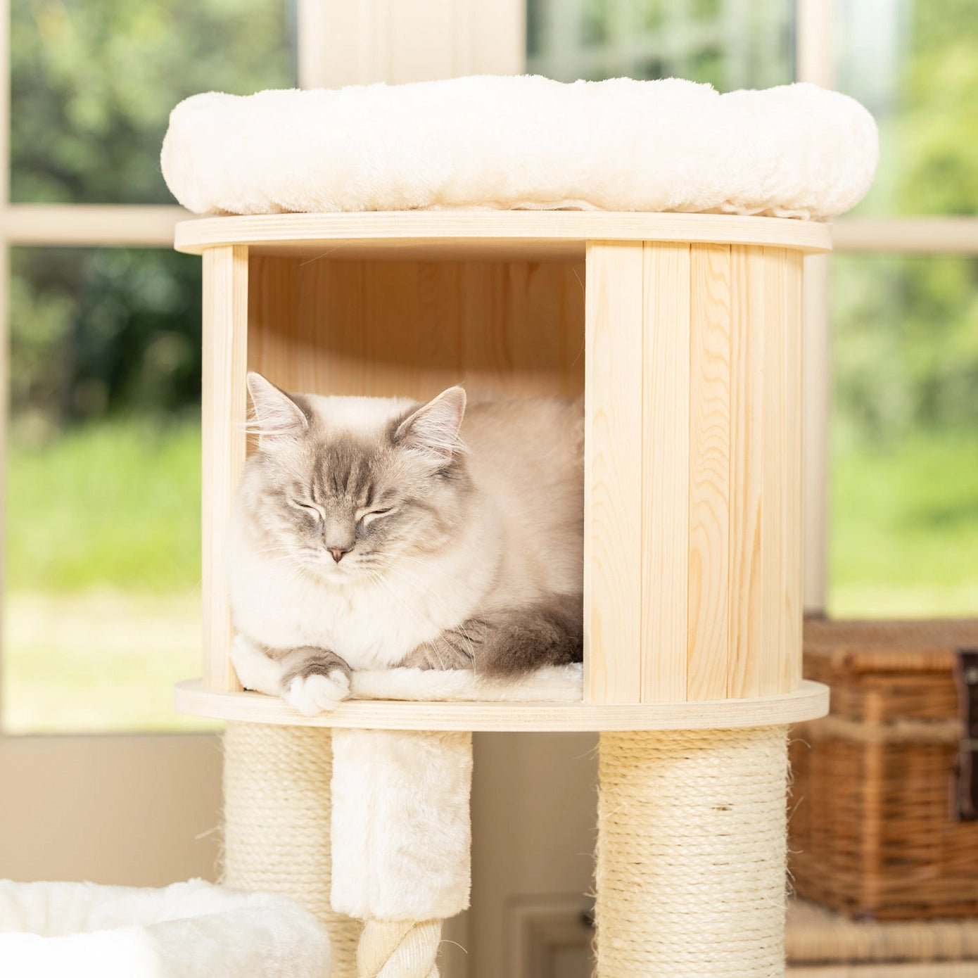 Chat endormi dans une niche en bois clair avec coussin moelleux, intégrée à un arbre à chat. Idéal pour le calme, le confort et la sécurité intérieure.