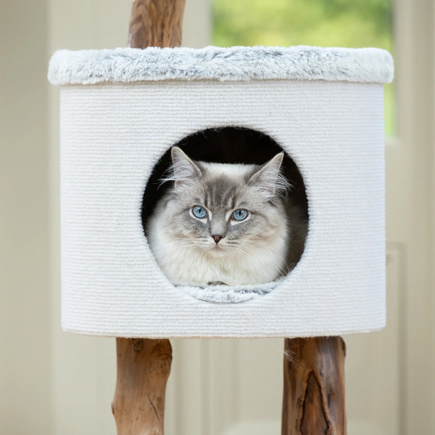 Niche confortable en tissu moelleux, parfaite pour les chats qui aiment se reposer dans un espace douillet.
