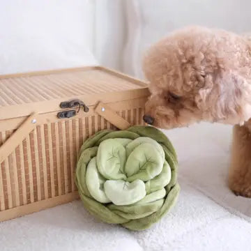 Peluche verte en forme de fleur douce et interactive pour chien, idéale pour stimuler la curiosité et le jeu des chiots.