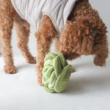 Peluche verte en forme de fleur douce et interactive pour chien, idéale pour stimuler la curiosité et le jeu des chiots.