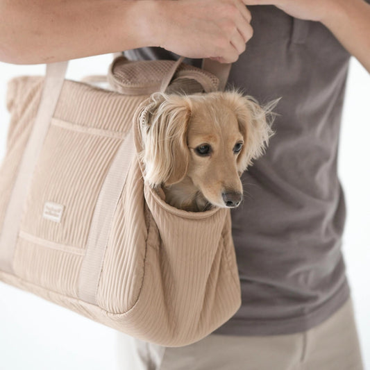 Un sac de transport pour animaux beige, doté d'une fenêtre en maille, accueille un chien de petite taille. Le sac est conçu pour offrir un transport sûr et confortable.