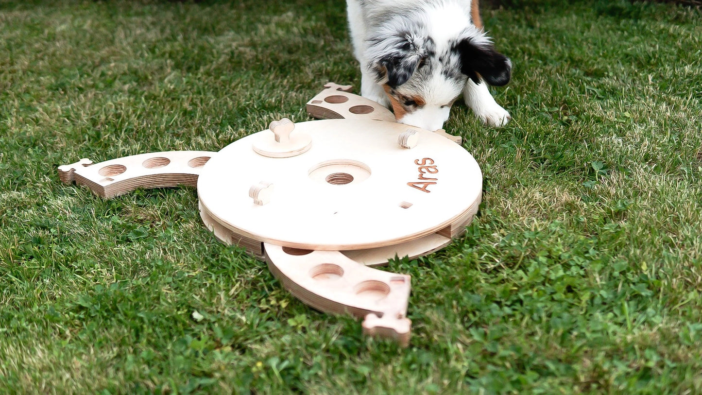 Planche d'activités éducatives, jouet pour chien - PromiDesign