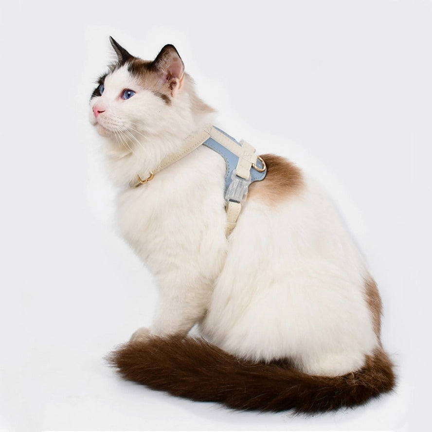 Loofie - Harnais pour animaux de compagnie en cuir végétal coloré - Cheerhunting
