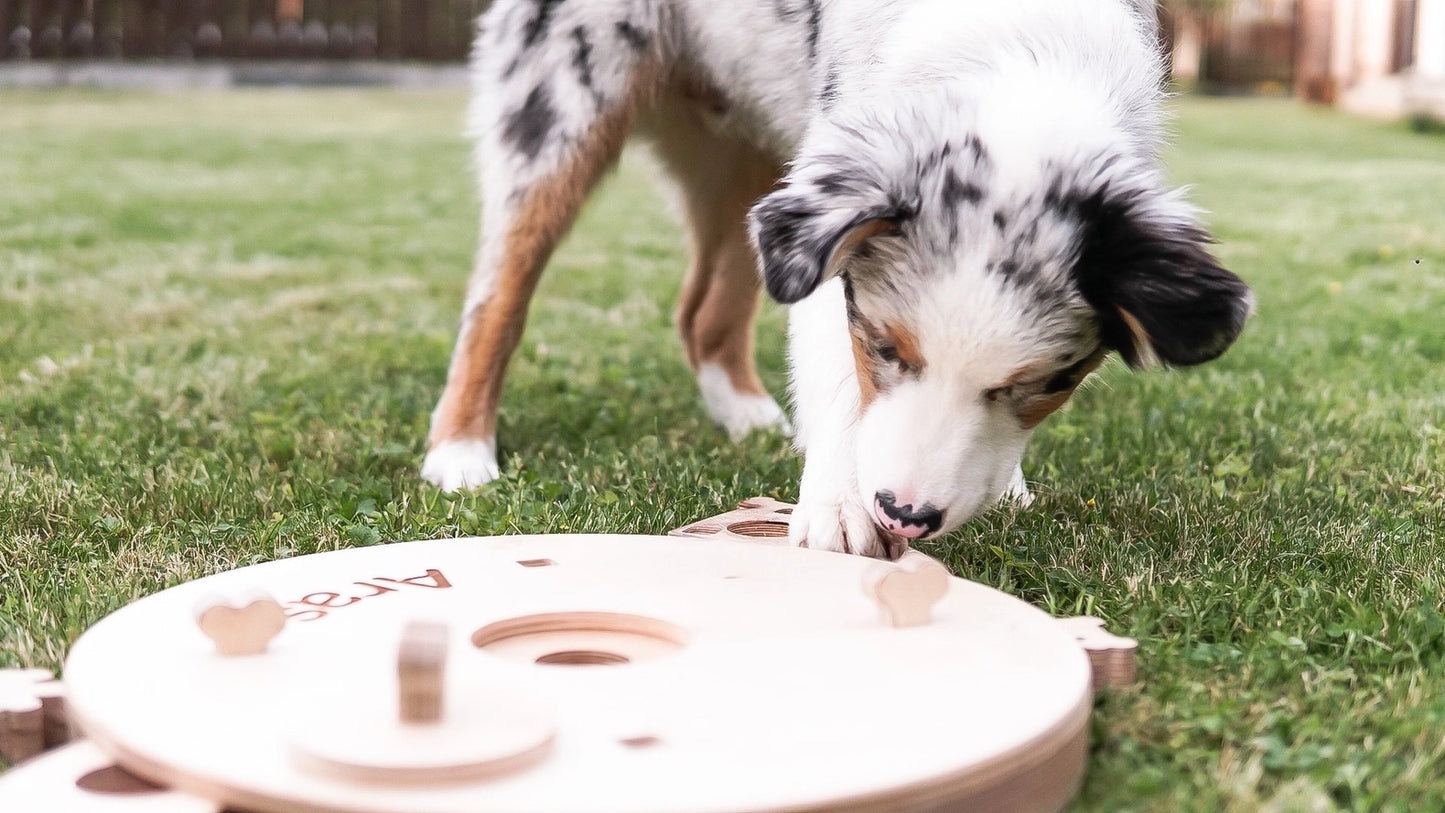 Planche d'activités éducatives, jouet pour chien - PromiDesign
