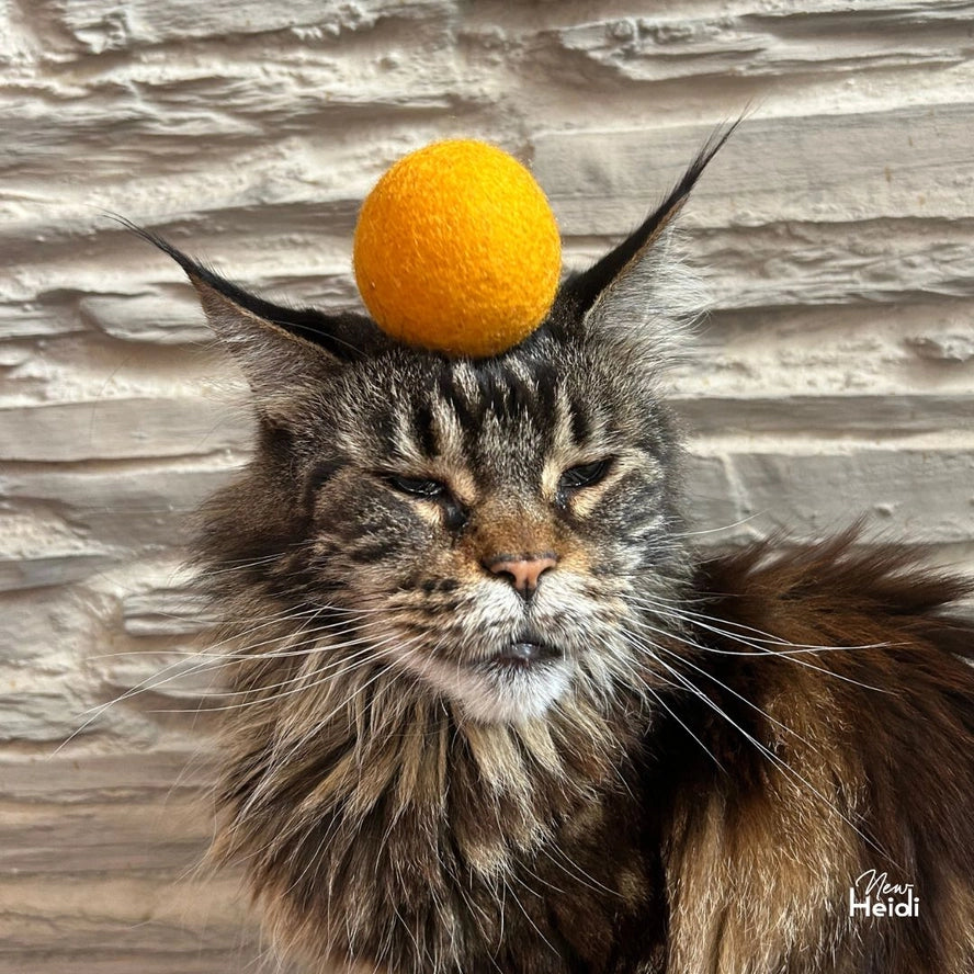 Set de 6 balles pour chat - New Heidi