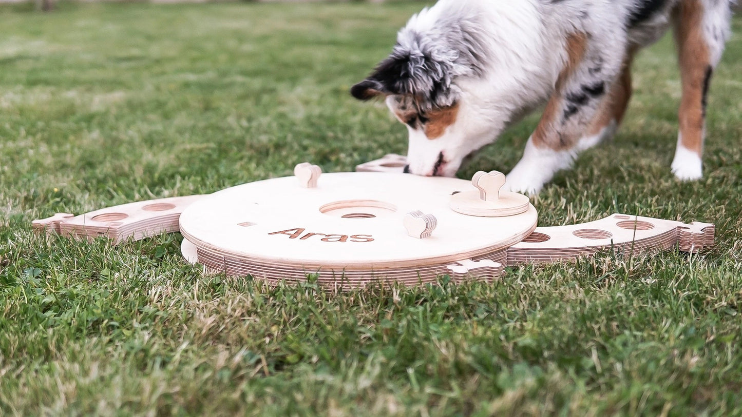 Planche d'activités éducatives, jouet pour chien - PromiDesign