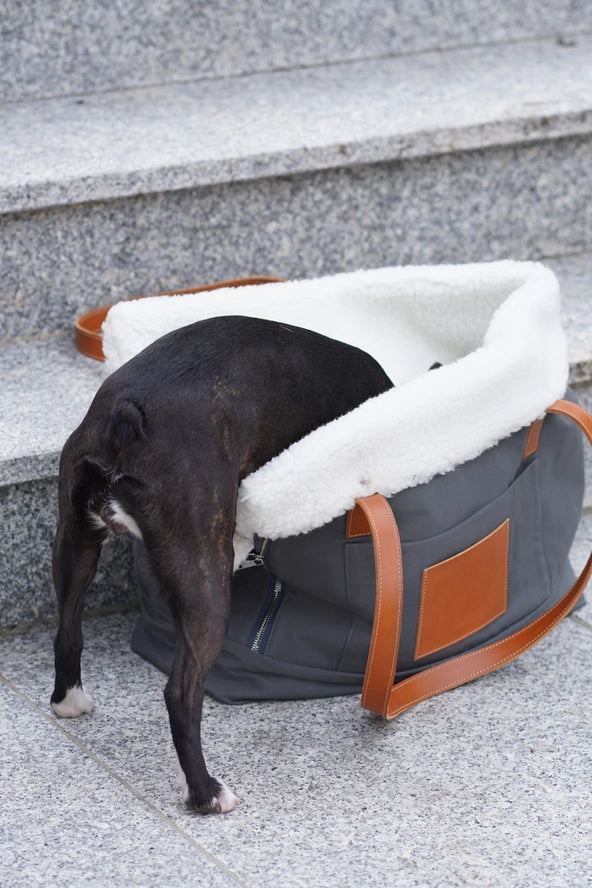 Porte-chien Liiva - Labbvenn