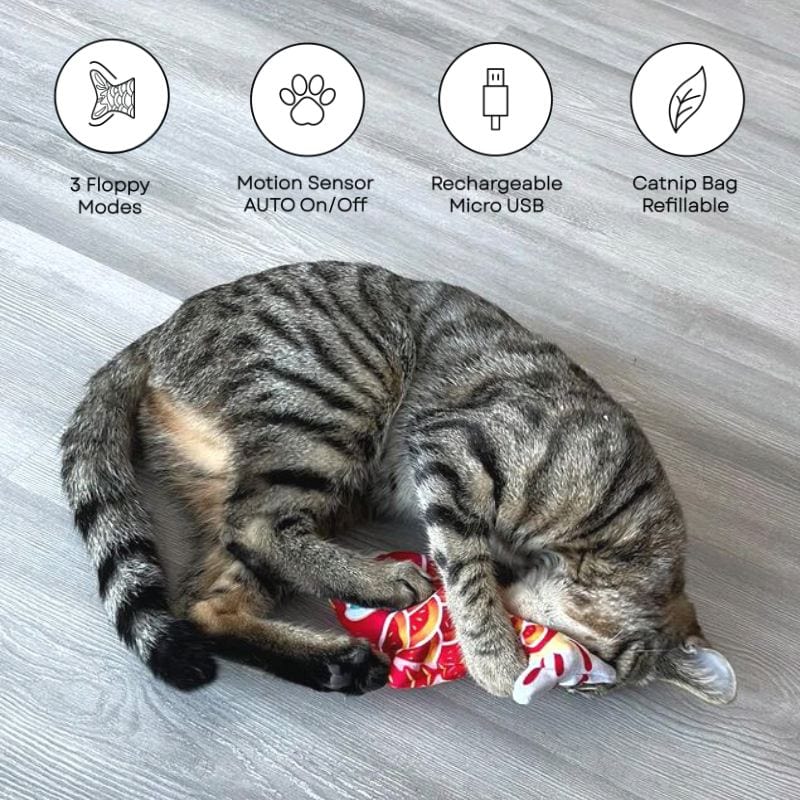 Mini Floppy Fish - Leo's Paw