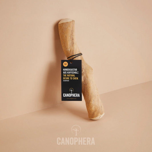 Bâtonnet à Mâcher Pour Chien en Bois de Café - CANOPHERA GmbH
