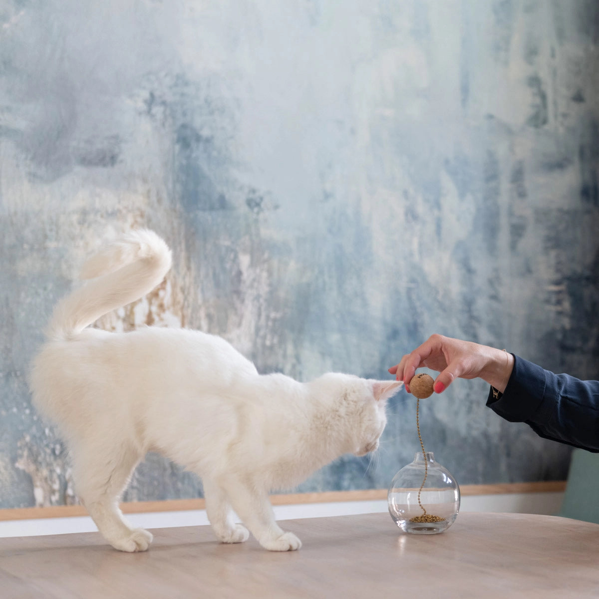 Jouet Tail Cat - Jouets pour chats - Hoopo