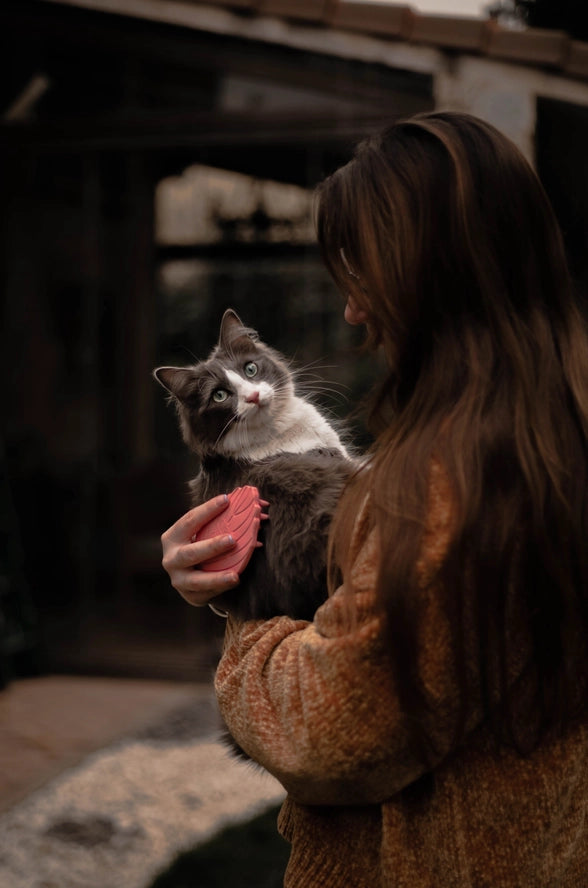 Brosse pour chat Brush De Retorn - POCURULL SL (Retorn)