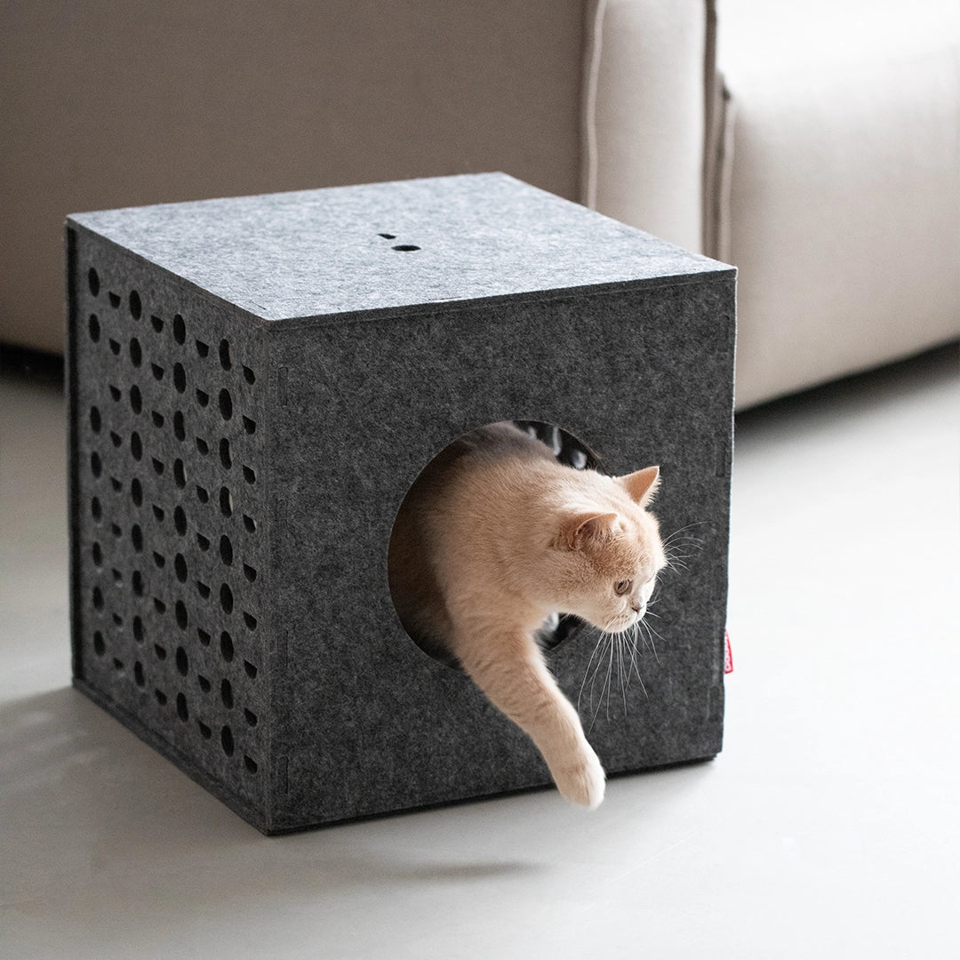 Cube - Jouets pour chats - Hoopo