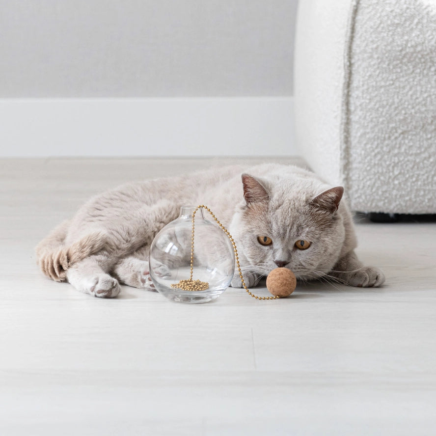 Jouet Tail Cat - Hoopo