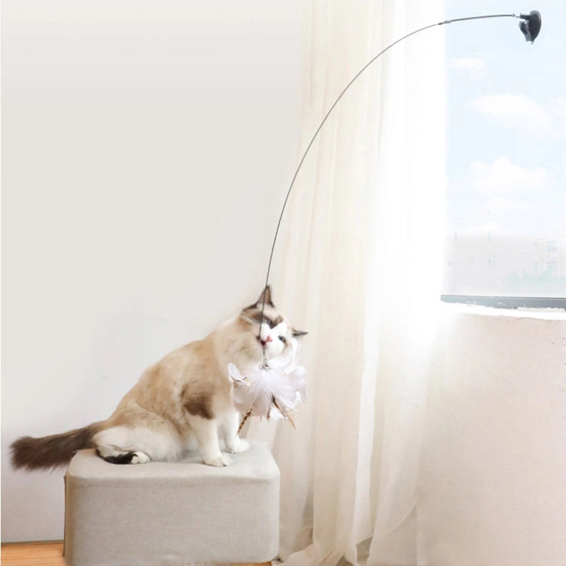 Ensemble de Jouets Interactifs pour Chats - Simulation d'Oiseaux - Leo's Paw