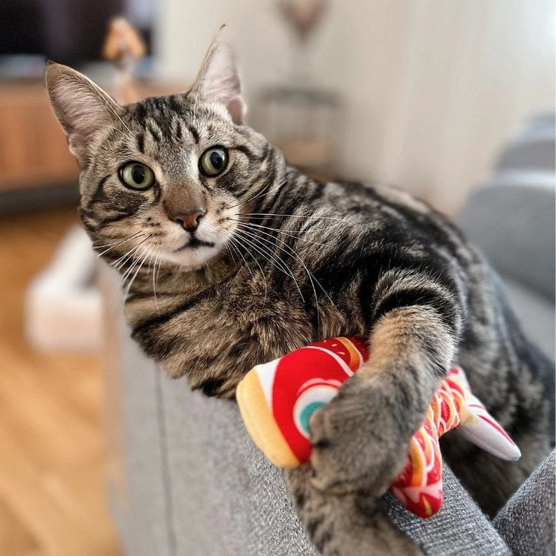 Mini Floppy Fish - Leo's Paw