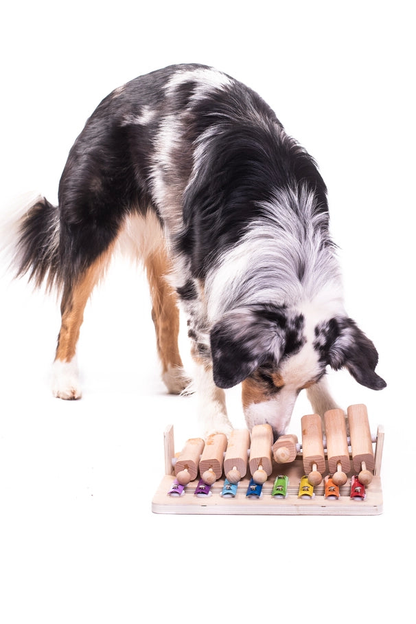 Puzzle Musical à Tuyaux Mobiles - Jouets pour chien- My Intelligent Dogs