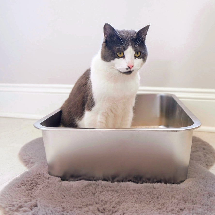Midlee Boîte à litière pour chat en acier inoxydable XL - Midlee Designs