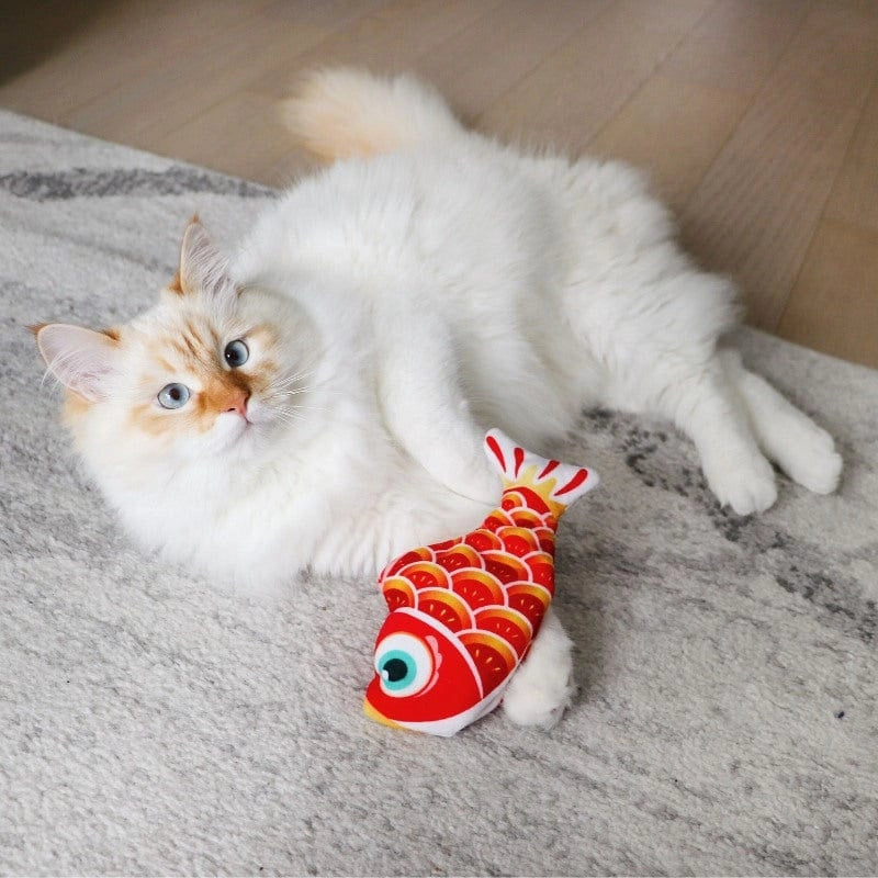 Mini Floppy Fish - Leo's Paw