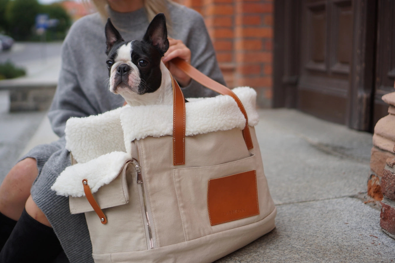 Porte-chien Liiva - Labbvenn