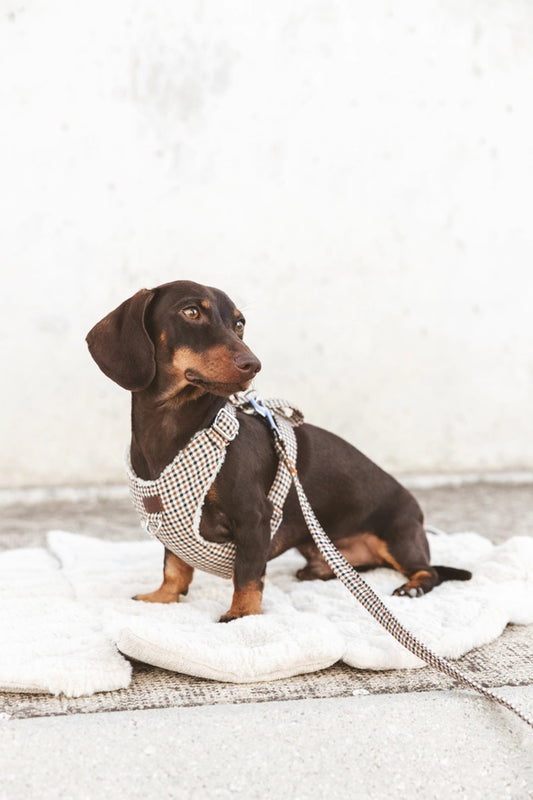 Sac porte-lit de voyage convertible - B de Bruno