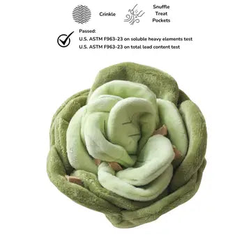 Champignon à renifler pour chien