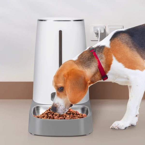 Distributeur de Croquettes pour Chien : La Solution Idéale pour un Chien Bien Nourri