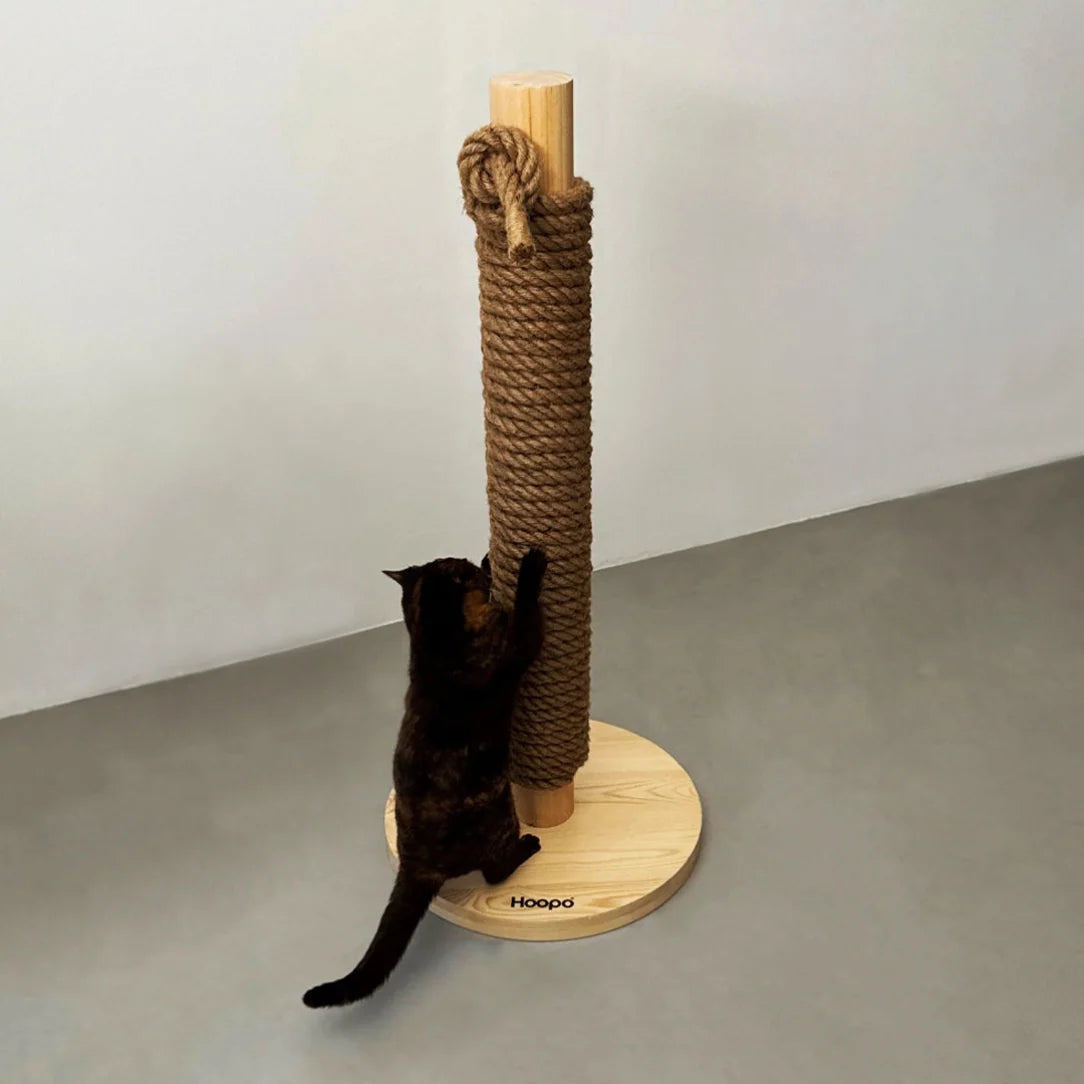 Arbre à chat design Hoopo