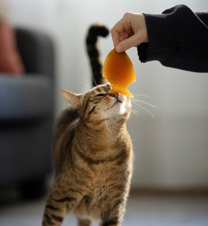 Jouet pour chat Rub Fish - POCURULL SL (Retorn) – vue 3