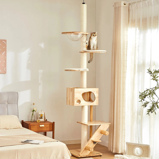 Helsinki Le Centre de Jeu pour Chats The Levels Fit Me - Lords and Labradors