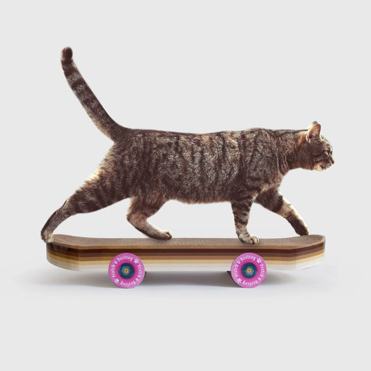 Scratcher pour chat de skateboard - Luckies of London