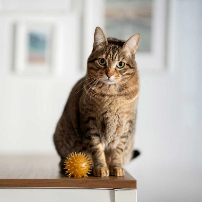 Jouet pour chats Rub Ball & Bell X2 - POCURULL SL (Retorn) – vue 2