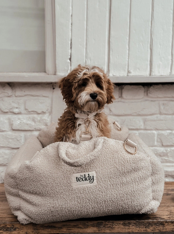 Le siège auto Cosy - By Teddy
