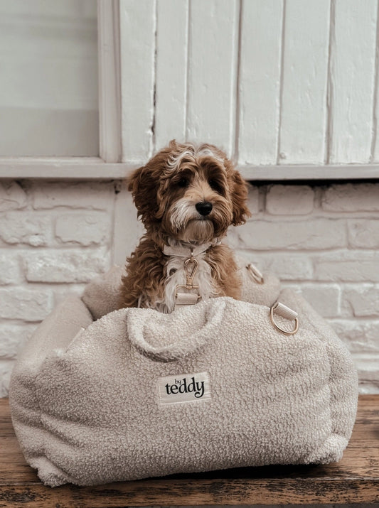 Le siège auto Cosy - By Teddy