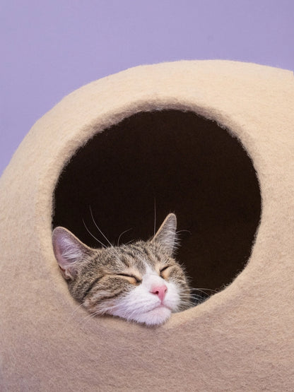 Levi Katzenhohle - myfelt – vue 3