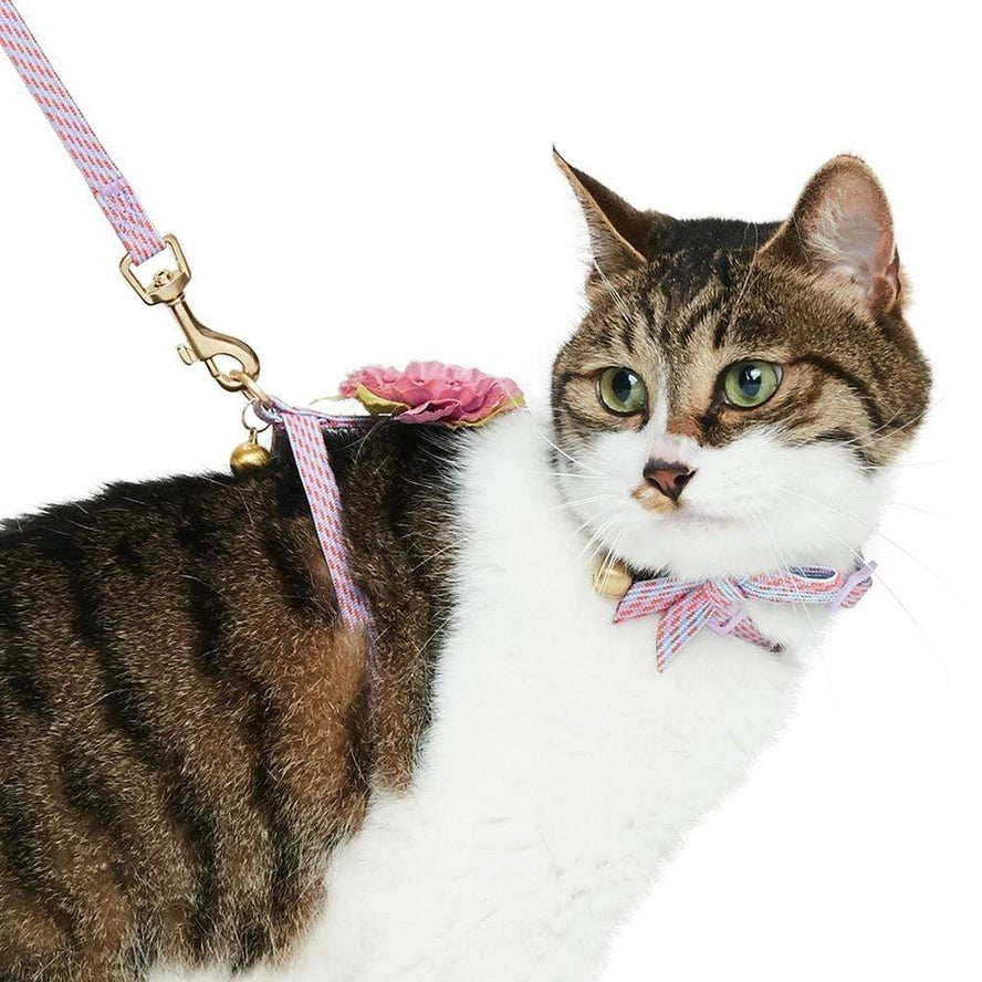 Ensemble de Laisse et Harnais pour Chat - Blueberry Pet