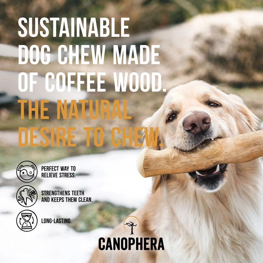 Bâtonnet à Mâcher Pour Chien en Bois de Café - CANOPHERA GmbH